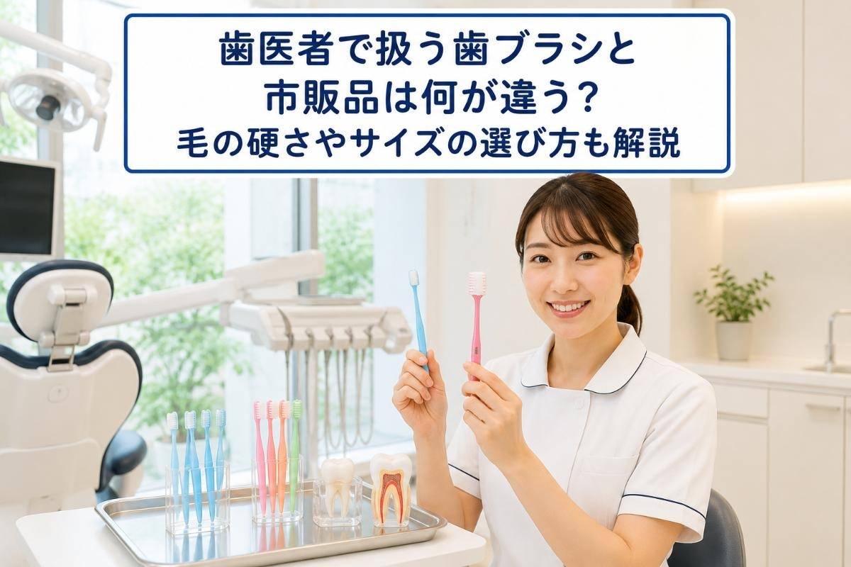 歯医者で扱う歯ブラシと市販品は何が違う?毛の硬さやサイズの選び方も解説